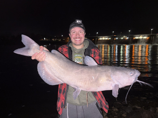 Channel Catfish
