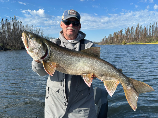 Lake Trout