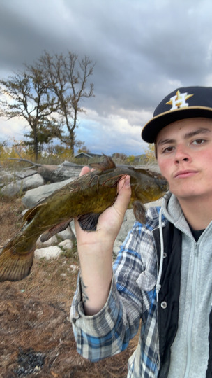 Bullhead