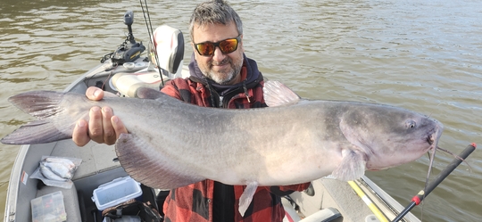 Channel Catfish