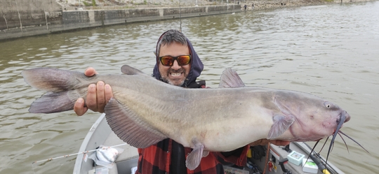 Channel Catfish