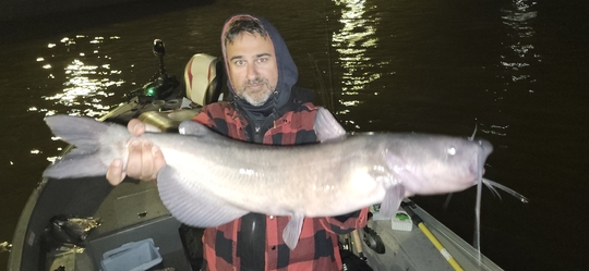 Channel Catfish