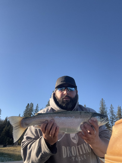 Rainbow Trout