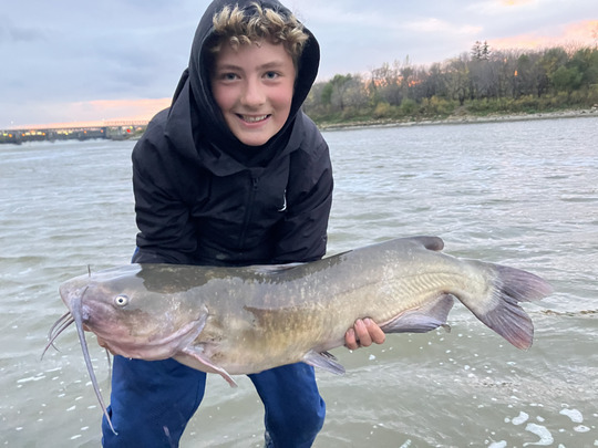 Channel Catfish