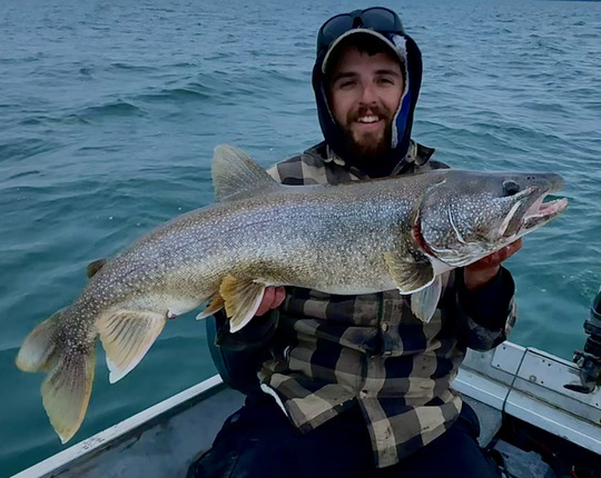 Lake Trout