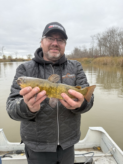 Bullhead