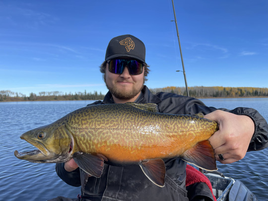 Tiger Trout
