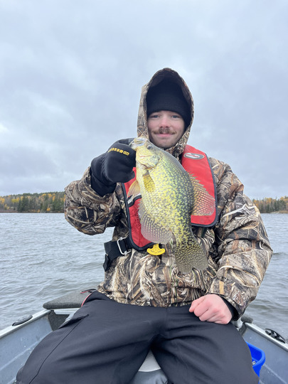 Black Crappie