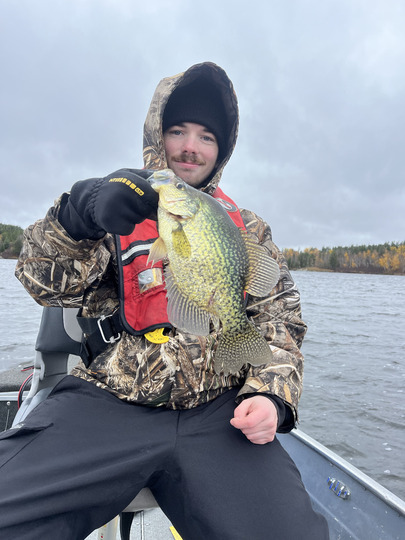 Black Crappie