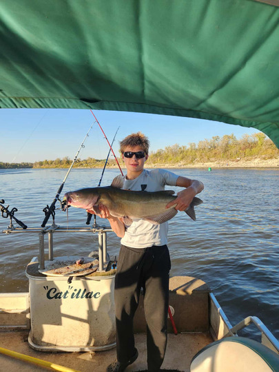 Channel Catfish