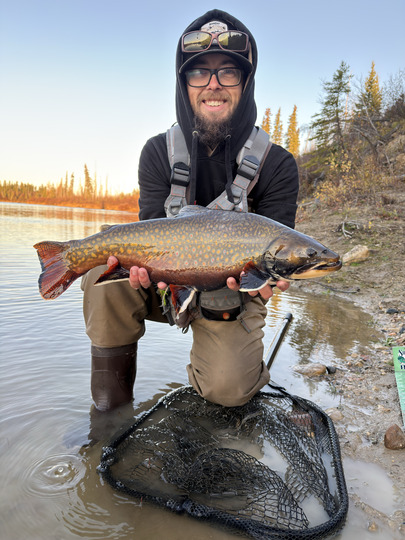Brook Trout