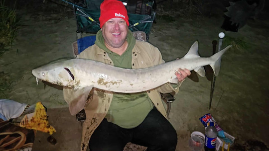 Lake Sturgeon