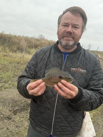 Sunfish