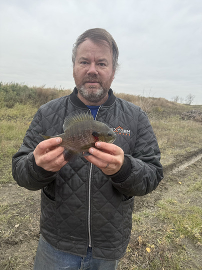 Sunfish