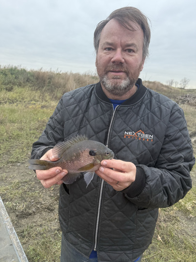 Sunfish