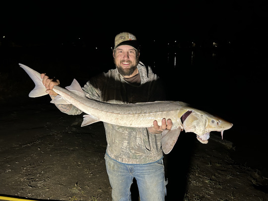 Lake Sturgeon