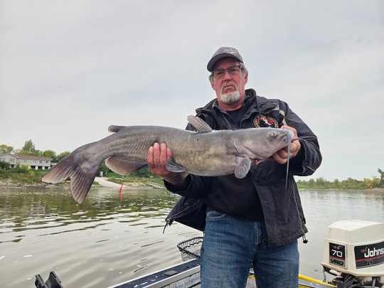 Channel Catfish