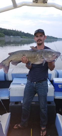 Channel Catfish