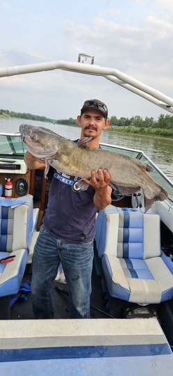 Channel Catfish