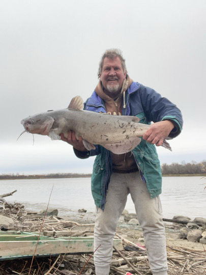 Channel Catfish