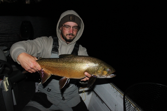 Tiger Trout