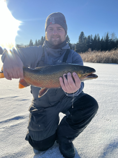 Tiger Trout