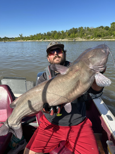 Channel Catfish