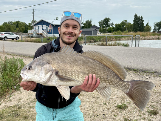 Freshwater Drum