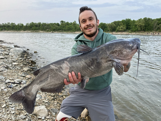Channel Catfish
