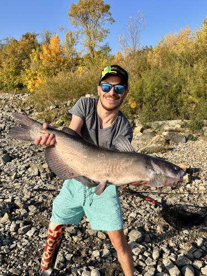 Channel Catfish