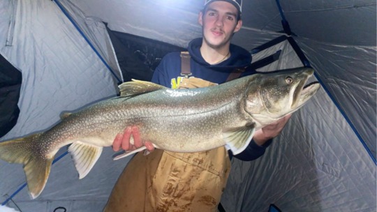 Lake Trout