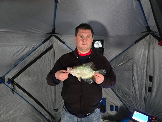 Black Crappie