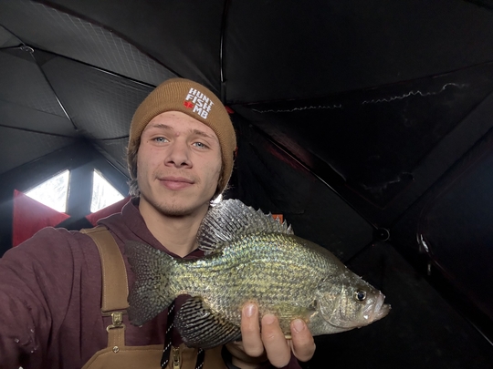 Black Crappie