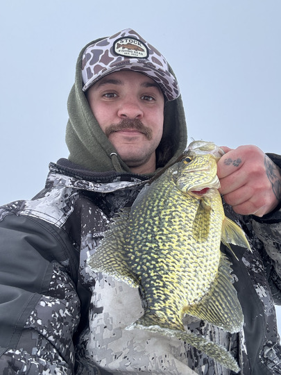 Black Crappie