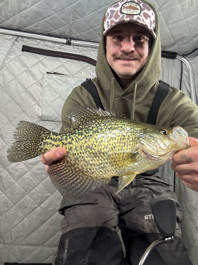 Black Crappie