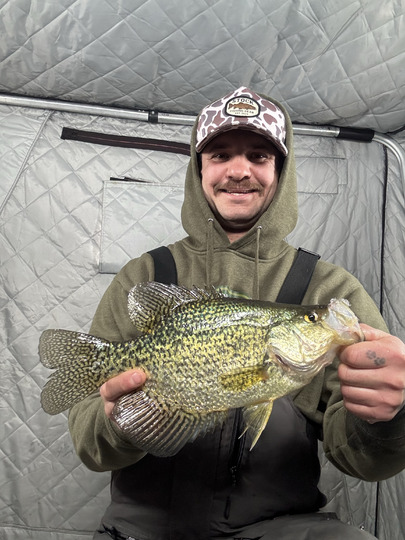 Black Crappie