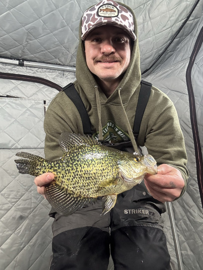Black Crappie