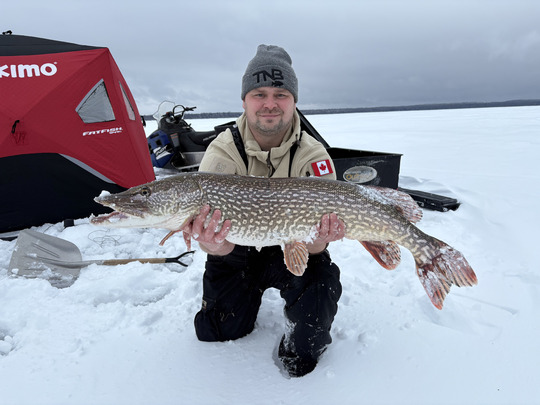 Northern Pike
