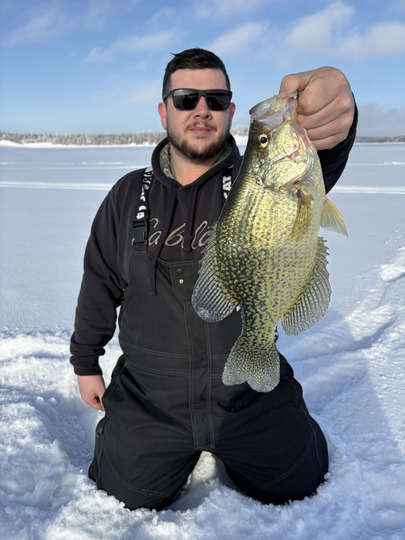 Black Crappie