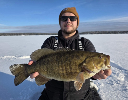 Smallmouth Bass
