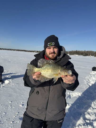 Black Crappie