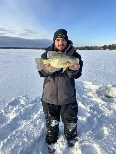 Black Crappie