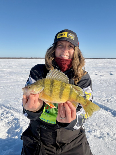 Yellow Perch