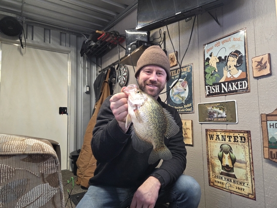 Black Crappie