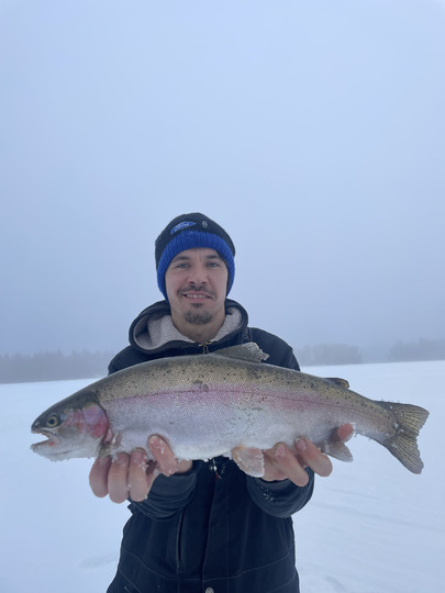 Rainbow Trout
