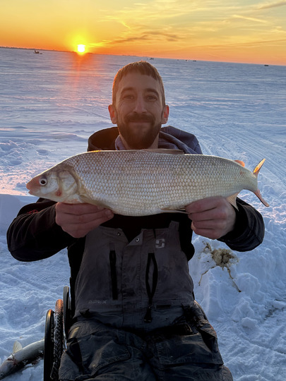 Lake Whitefish