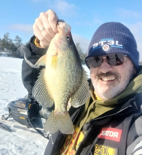 Black Crappie