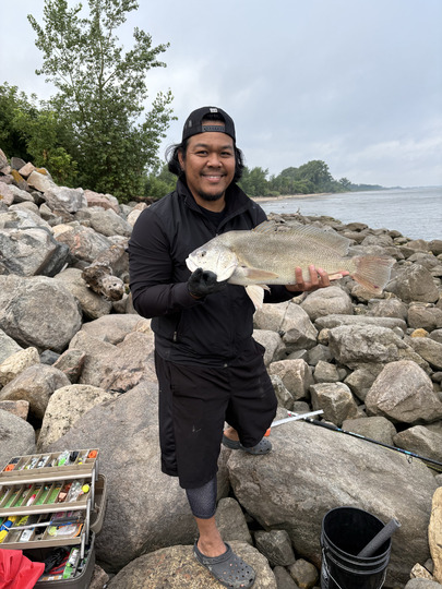 Freshwater Drum