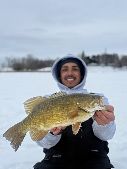 Smallmouth Bass