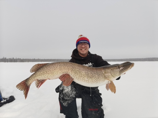 Northern Pike